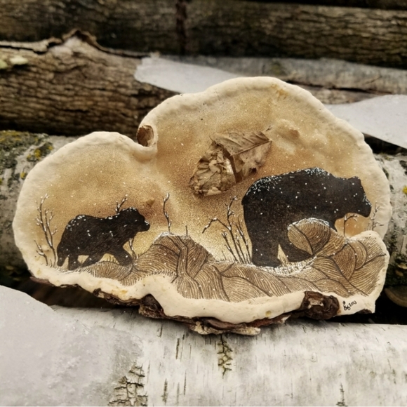 About Inspiration Boreal - Picture 4 of 16
